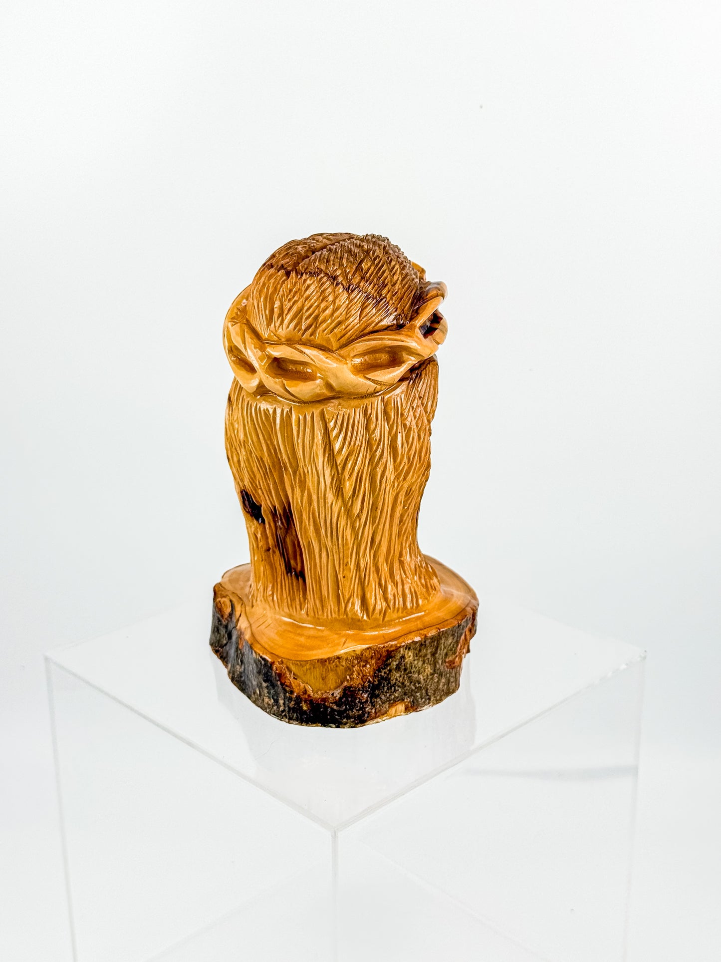Hand-Carved Jesus Christ Bust with Crown of Thorns on Natural Live-Edge Wood Base, Folk Art Sculpture