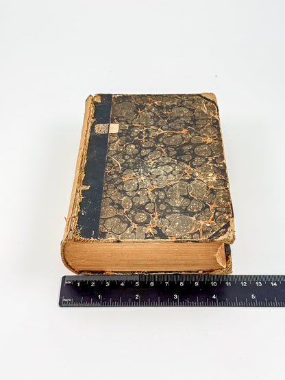 1868 Dante's Divine Comedy - The Vision by Rev. Henry Francis Cary