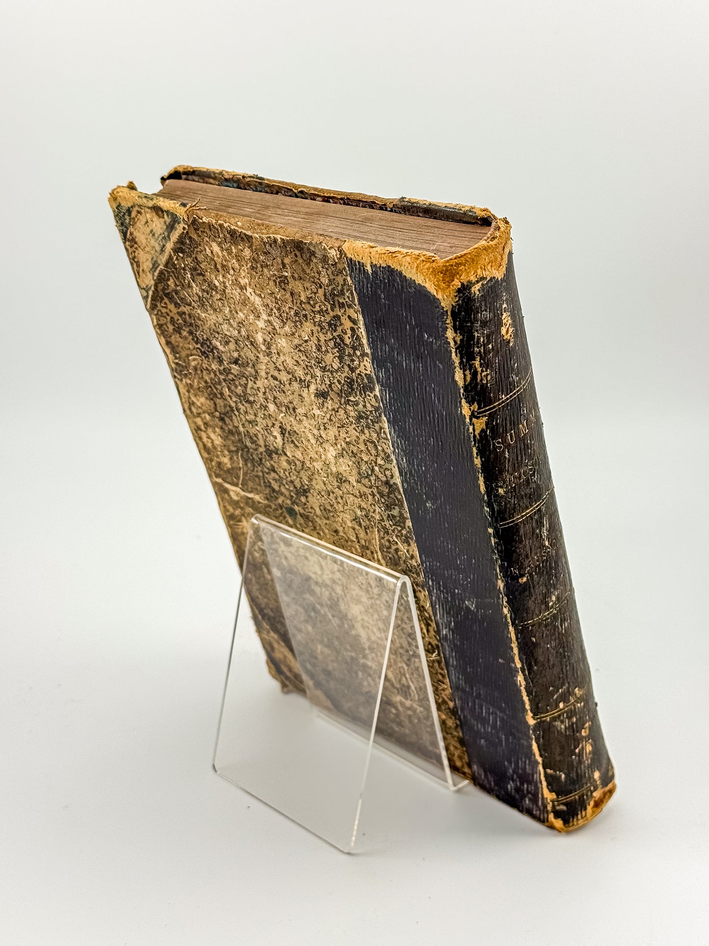 1889 Summa Philosophica - Latin Scholastic Philosophy by P. Nicolao Russo